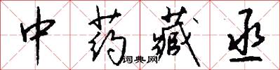 中药藏丞怎么写好看
