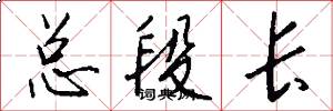 总段长怎么写好看