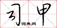 司甲怎么写好看
