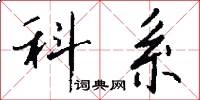 科系怎么写好看