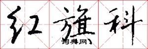 红旗科怎么写好看