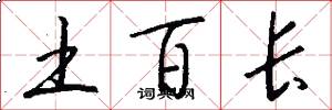 土百长怎么写好看