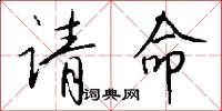 请命怎么写好看