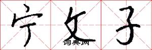 宁文子怎么写好看