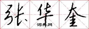 张华奎怎么写好看