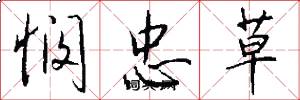 悯忠草怎么写好看