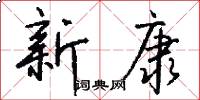 新康怎么写好看