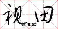 视田怎么写好看
