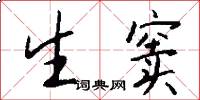 生窦怎么写好看