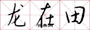 龙在田怎么写好看