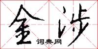 金涉怎么写好看