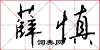 薛慎怎么写好看