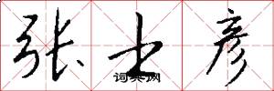 张士彦怎么写好看