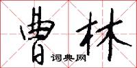 曹林怎么写好看
