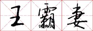 王霸妻怎么写好看