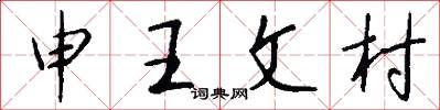 申王文村怎么写好看