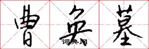 曹奂墓怎么写好看