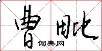 曹毗怎么写好看