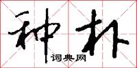 种朴怎么写好看