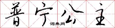 普宁公主怎么写好看