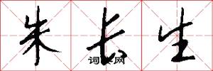 朱长生怎么写好看