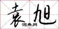 袁旭怎么写好看