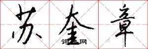 苏奎章怎么写好看