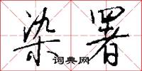染署怎么写好看
