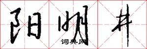 阳明井怎么写好看
