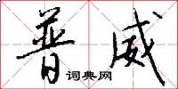 普威怎么写好看