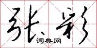 张彩怎么写好看