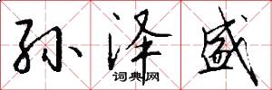 孙泽盛怎么写好看