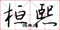 桓熙怎么写好看