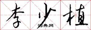 李少植怎么写好看
