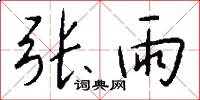 张雨怎么写好看