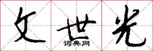 文世光怎么写好看