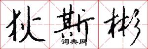 狄斯彬怎么写好看