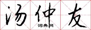 汤仲友怎么写好看