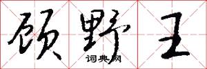 顾野王怎么写好看