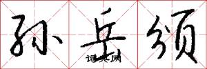 孙岳颁怎么写好看