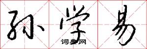 孙学易怎么写好看