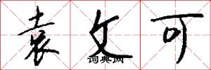 袁文可怎么写好看