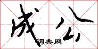成公怎么写好看