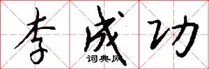 李成功怎么写好看