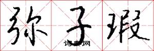弥子瑕怎么写好看