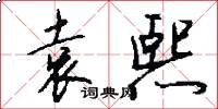 袁熙怎么写好看