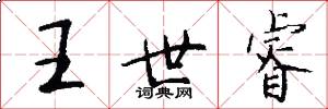 王世睿怎么写好看