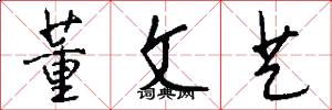 董文艺怎么写好看