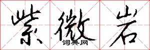 紫微岩怎么写好看