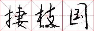 捷枝国怎么写好看